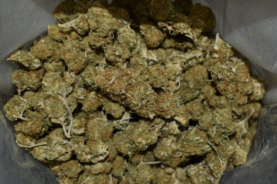 Northern Lights Weed Strain (AA)