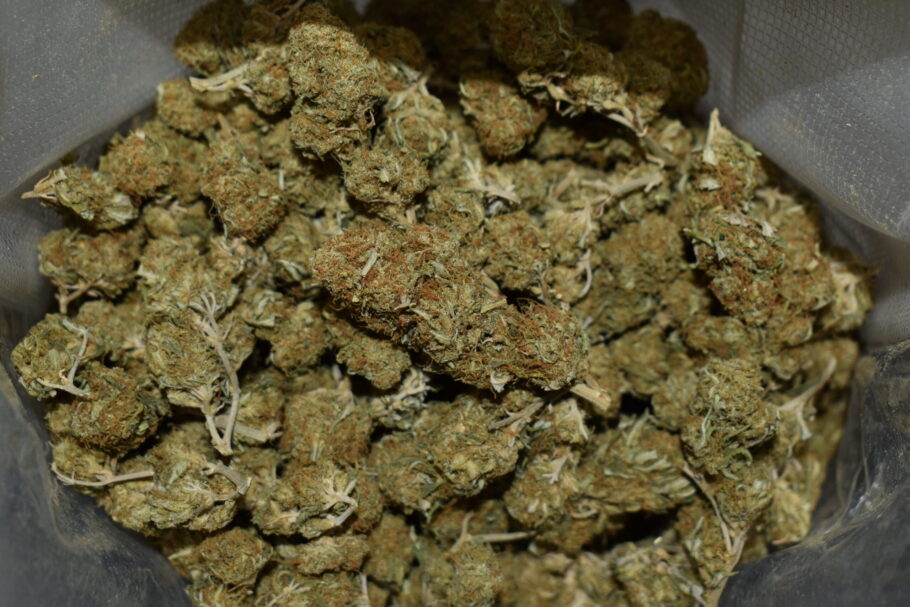 Northern Lights Weed Strain (AA)