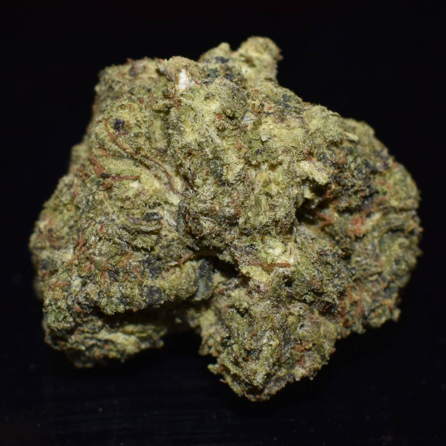 Killer Purple Marijuana Strain