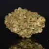 Recon strain, Recon weed strain, Recon marijuana strain, Recon Buds
