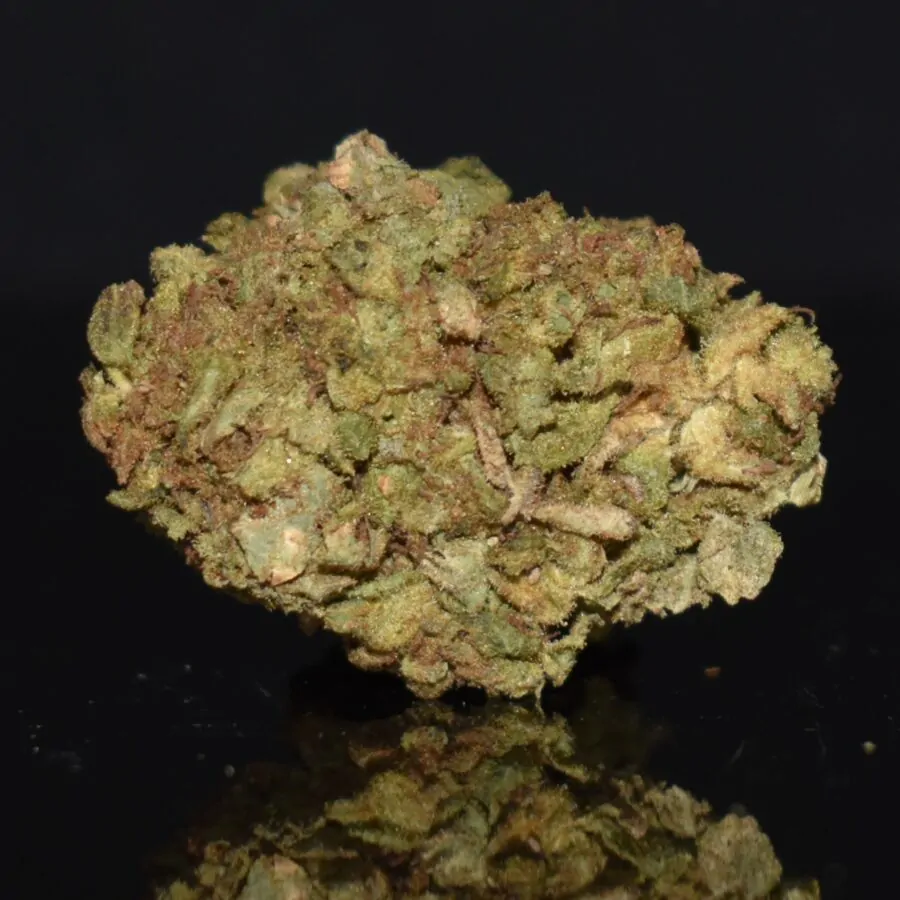 Recon strain, Recon weed strain, Recon marijuana strain, Recon Buds