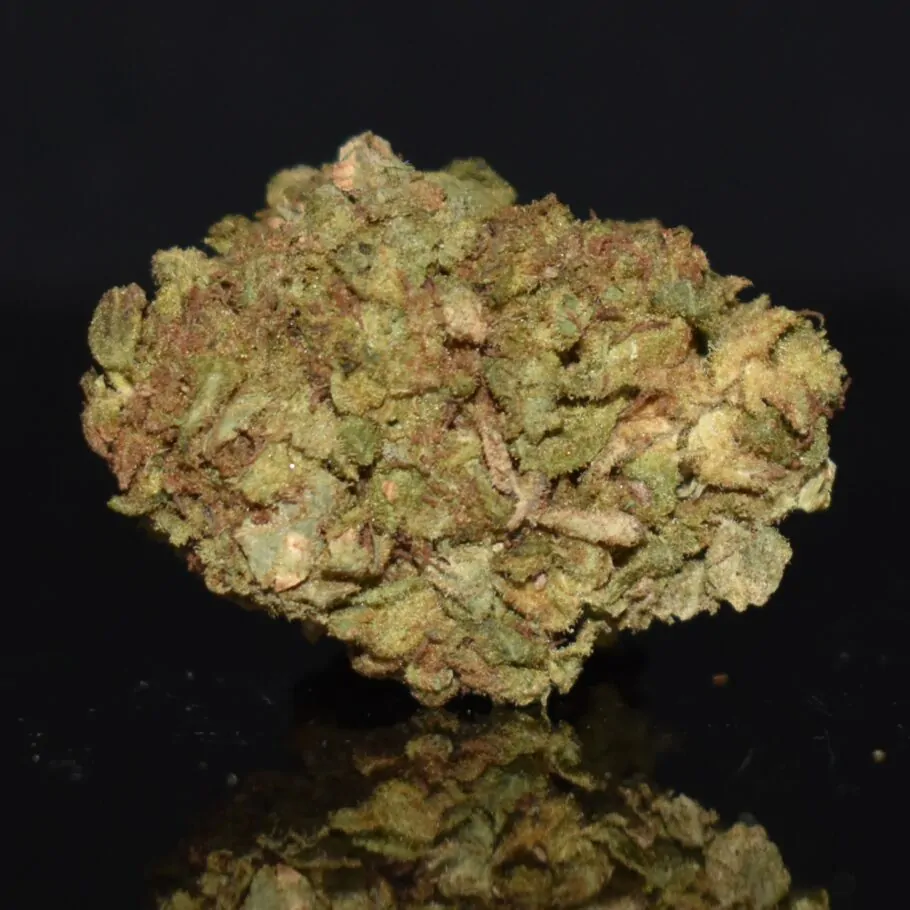 Recon strain, Recon weed strain, Recon marijuana strain, Recon Buds
