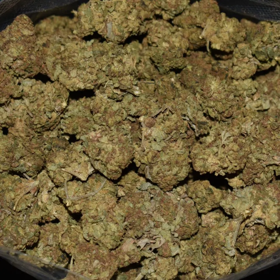 Recon strain, Recon weed strain, Recon marijuana strain, Recon Buds