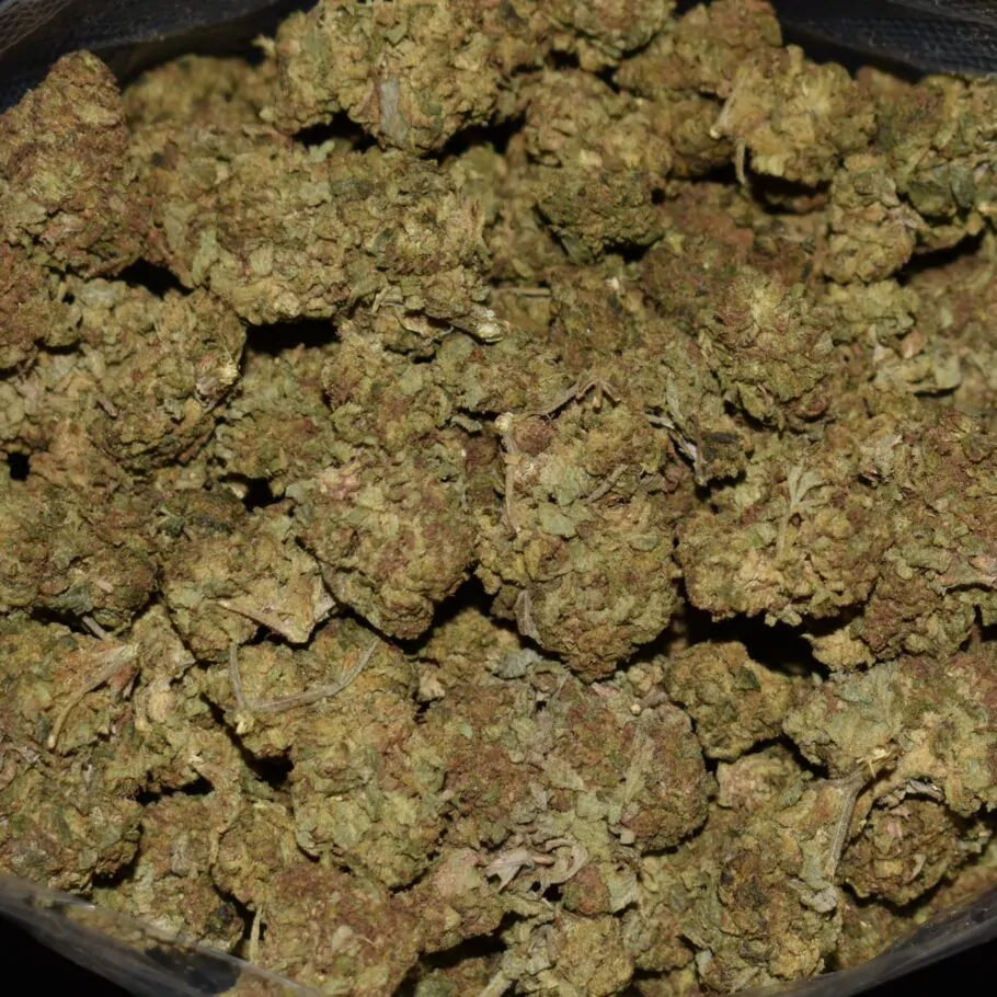 Recon strain, Recon weed strain, Recon marijuana strain, Recon Buds