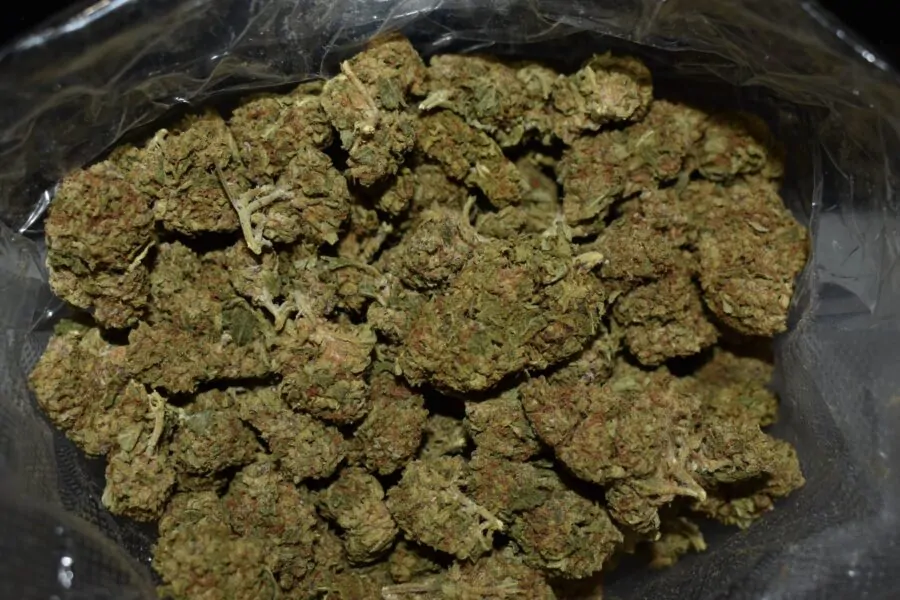 Ice Marijuana Strain (AA+)