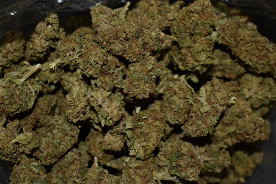 Ice Weed Strain (AA+)