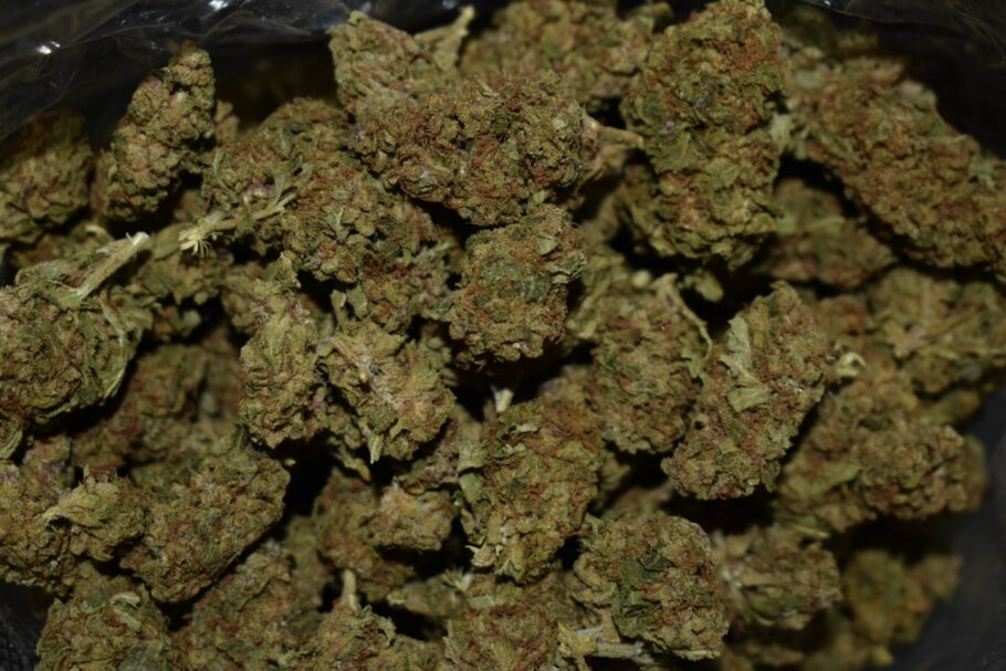 Ice Weed Strain (AA+)