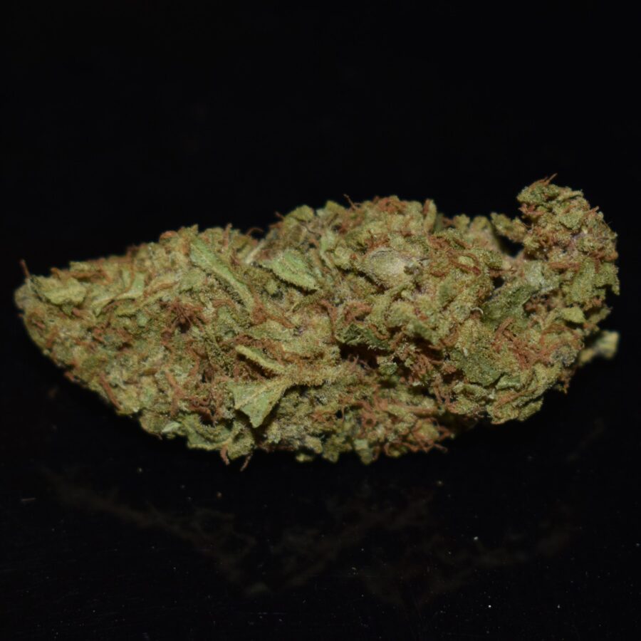 Ice Cannabis Strain (AA+)