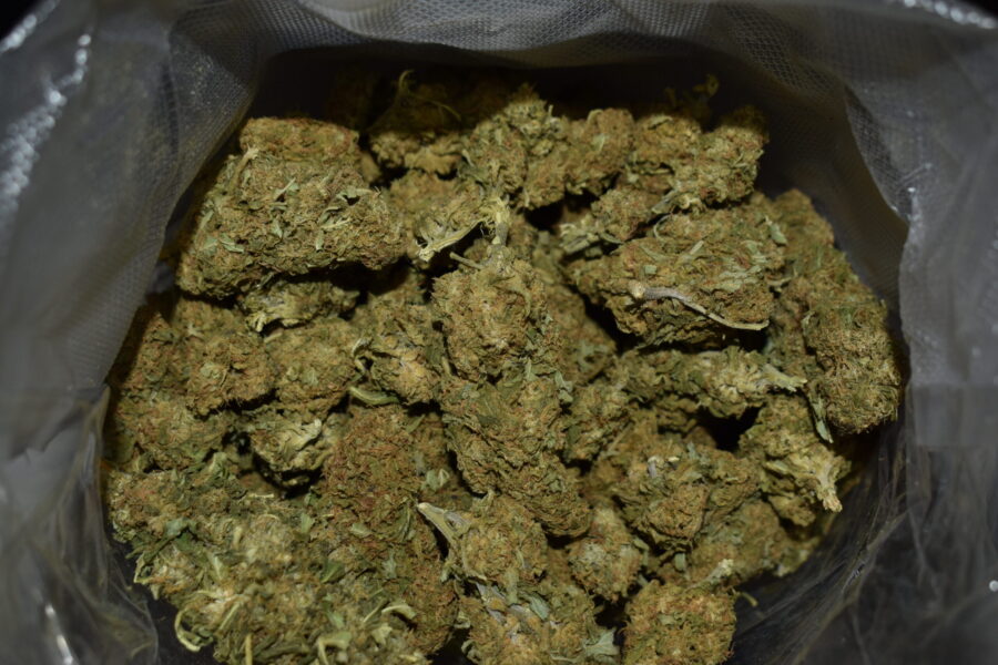 Kosher Kush Marijuana Strain (AA+)