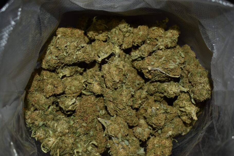 Kosher Kush Marijuana Strain (AA+)
