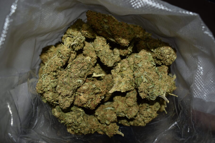 Kosher Kush Cannabis Strain (AA+)