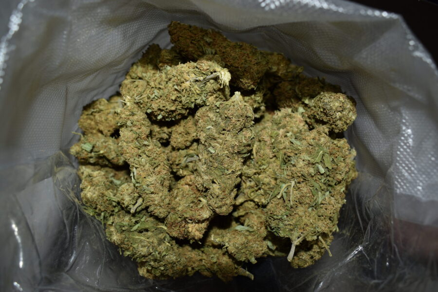 Kosher Kush Weed Strain (AA+)