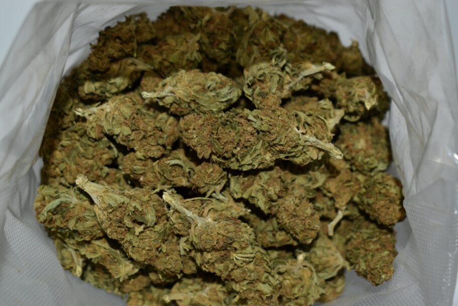 Star Marijuana Strain (AA)