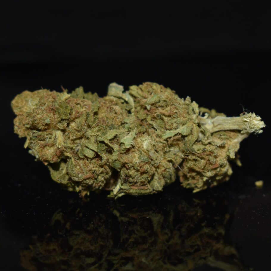 Star Buds (AA)