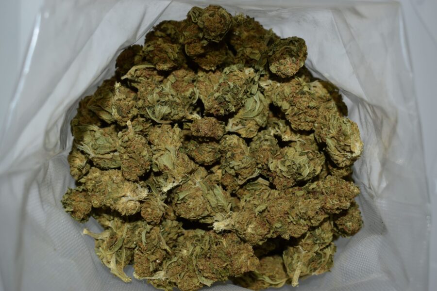 Star Cannabis Strain (AA)