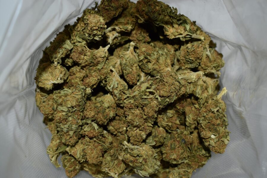 Star Weed Strain (AA)