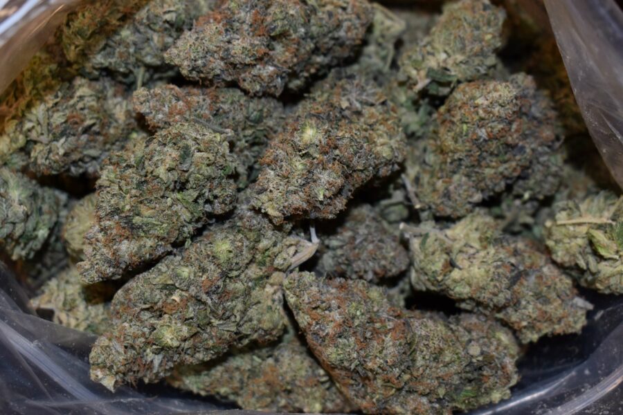 Death Pink Strain