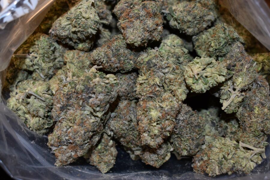 Death Pink Strain