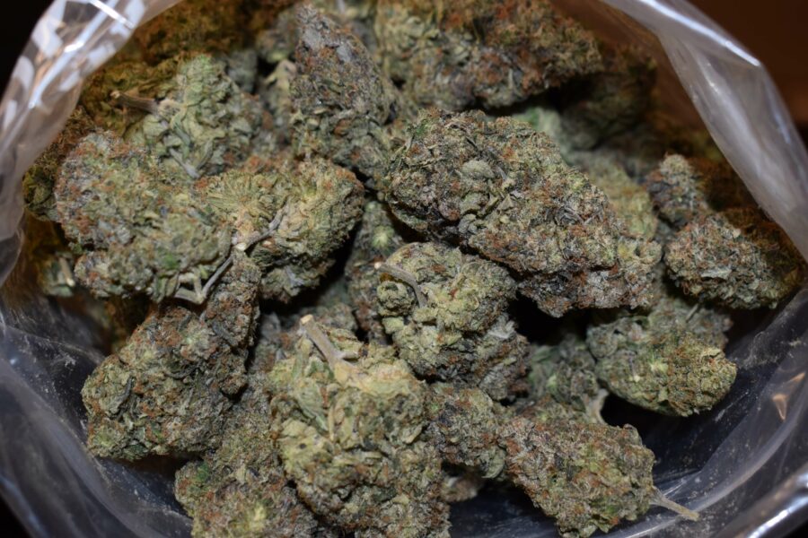 Death Pink Strain