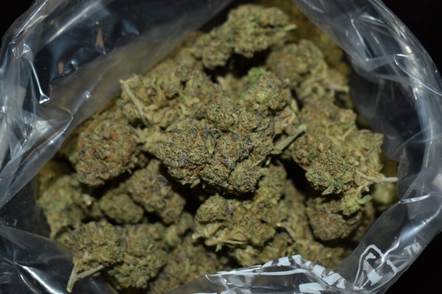 Pink Gelato Marijuana Strain