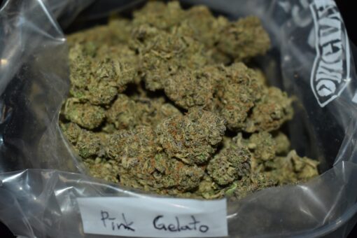 Pink Gelato Buds