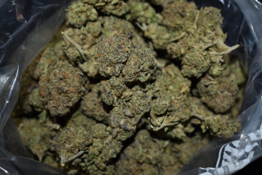 Pink Gelato Strain
