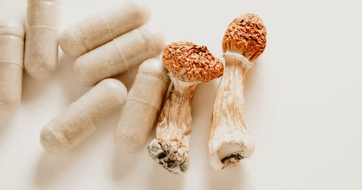 Learn How To Do Shrooms Safely