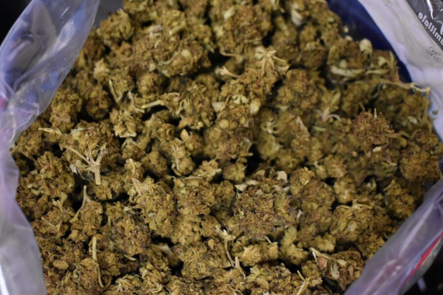 Sour Diesel Cannabis Strain