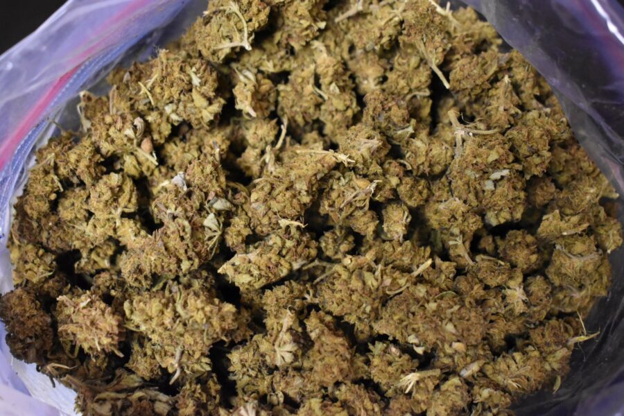 Sour Diesel Weed Strain