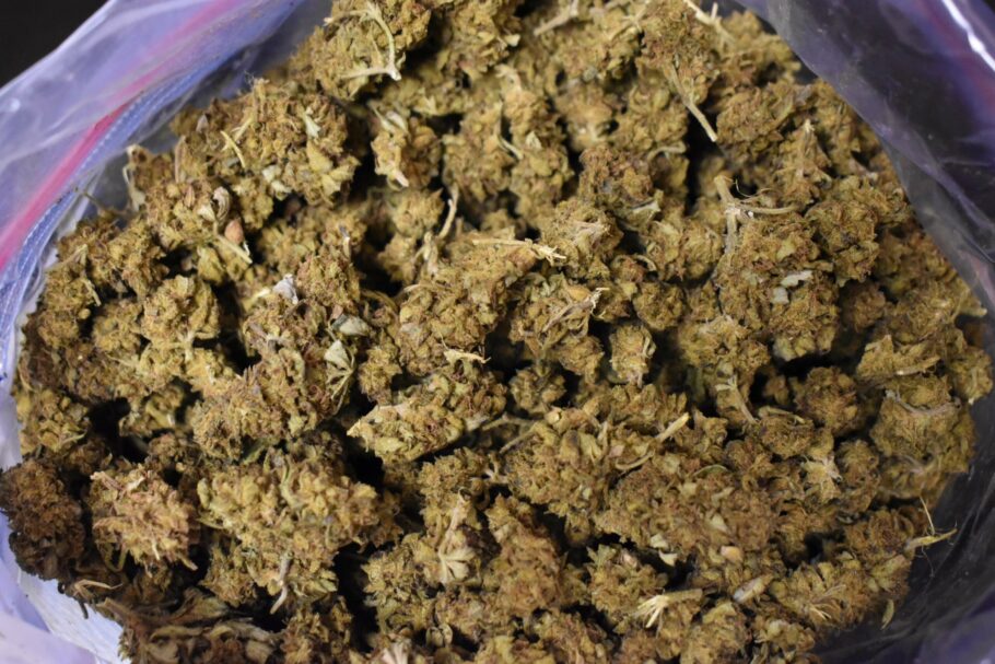 Sour Diesel Weed Strain