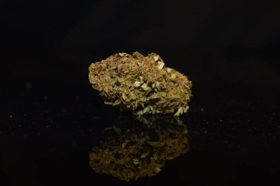 Sour Diesel Strain