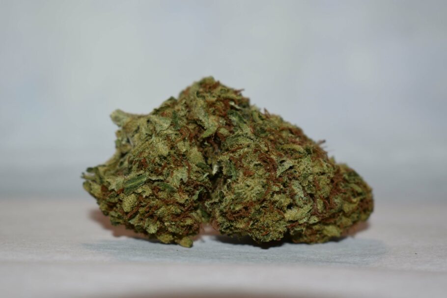 Super Kush Marijuana Strain