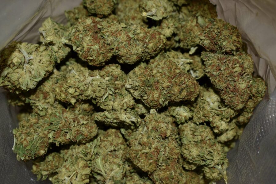 Super Kush Weed Strain
