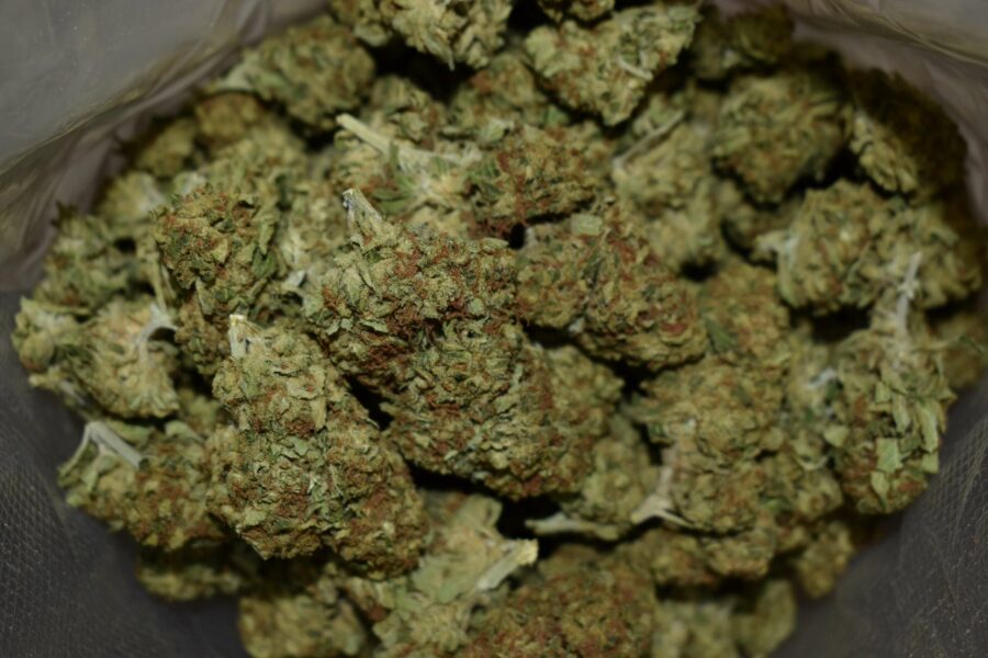 Super Kush Strain