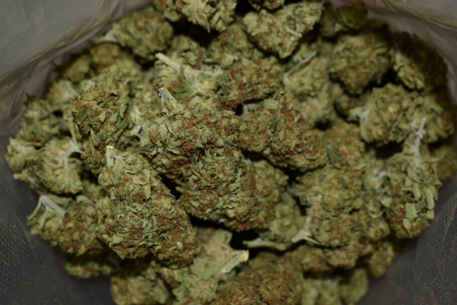 Super Kush Strain