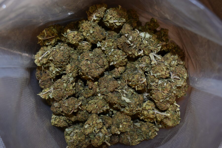 Ginger Ale Cannabis Strain