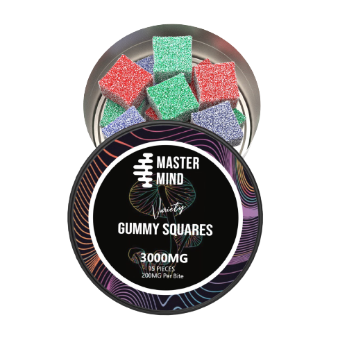 Mastermind Variety Gummy Squares