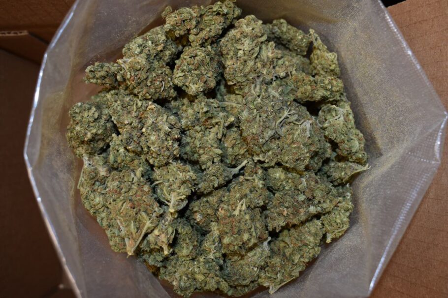 Purple Punch Cannabis Strain