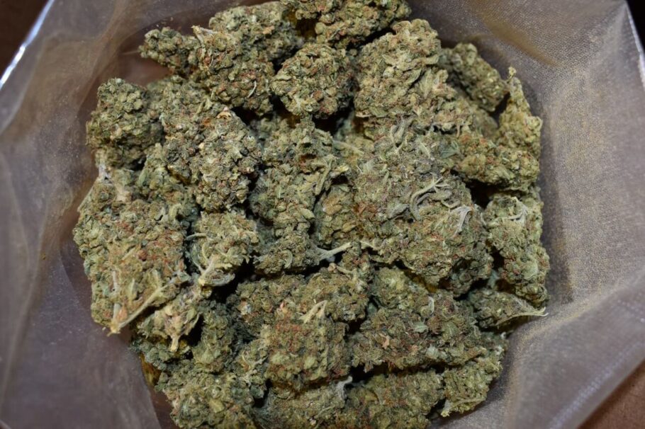 Purple Punch Marijuana Strain