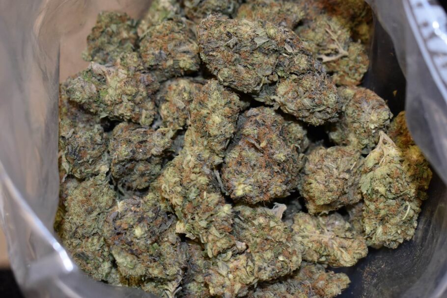 MK Ultra Strain