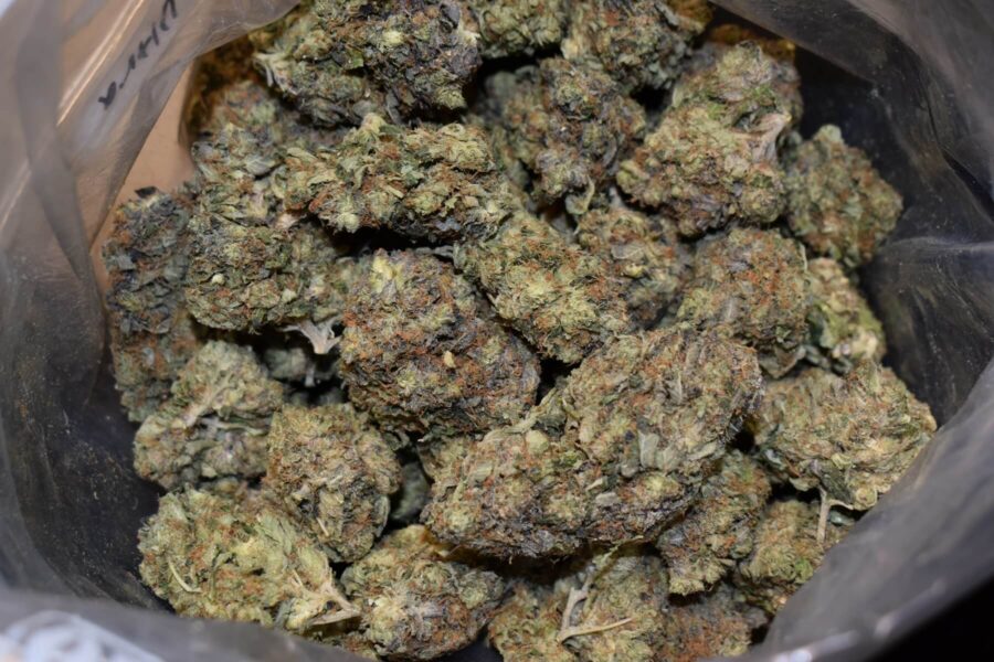 MK Ultra Strain
