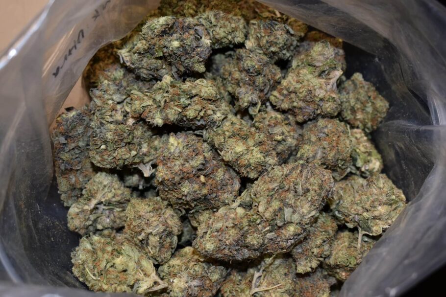 MK Ultra Strain