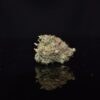 MK Ultra Strain
