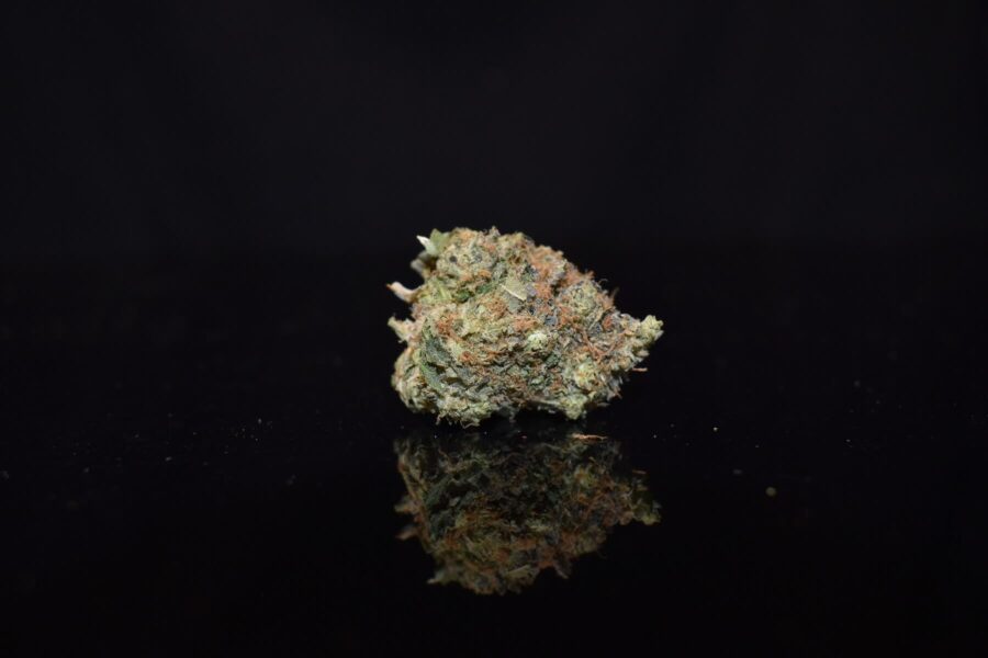 MK Ultra Strain