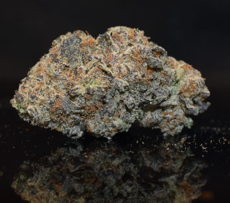 Animal Cookies strain, Animal Cookies weed strain, Animal Cookies marijuana strain, Animal Cookies Buds