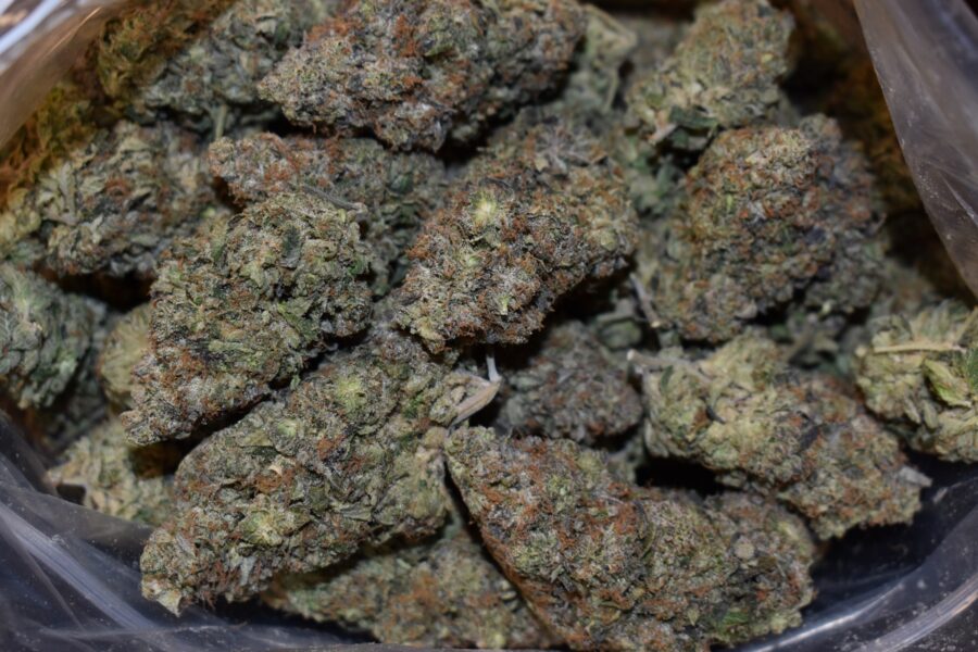 Death Pink Strain