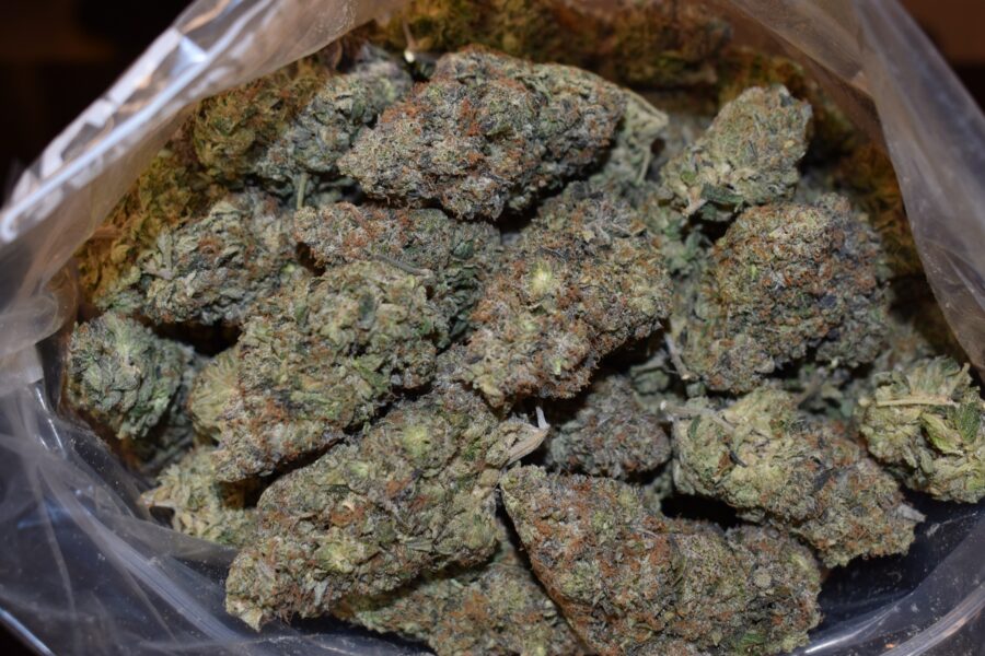 Death Pink Strain