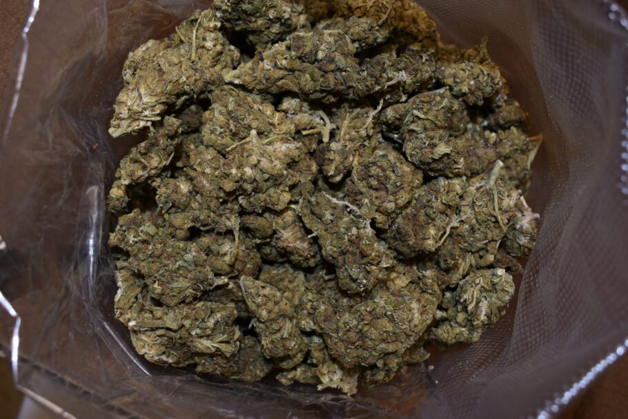 Gas Face Weed Strain