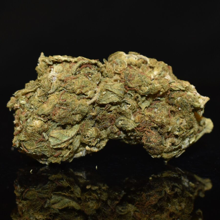 Gas Face Buds