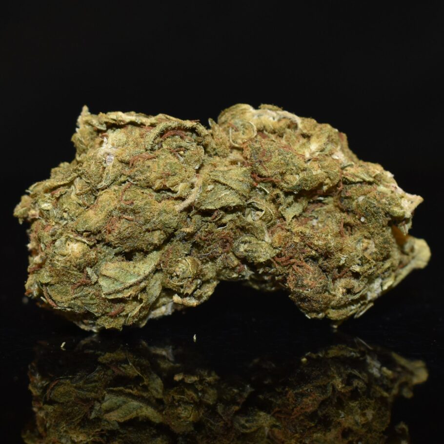 Gas Face Buds